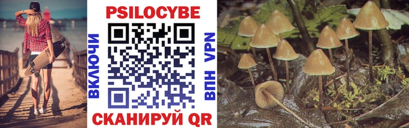 где купить наркоту  Трёхгорный  Галлюциногенные грибы MAGIC MUSHROOMS 